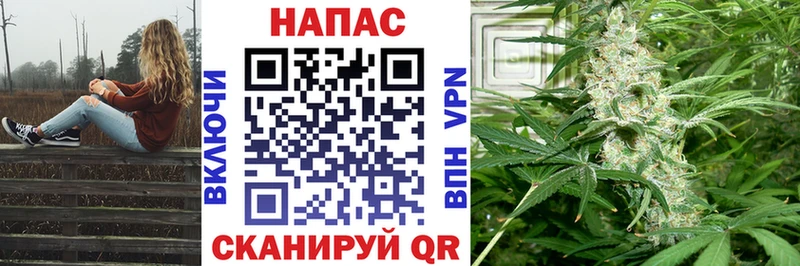 Каннабис план даркнет состав Нововоронеж MEGA ONION